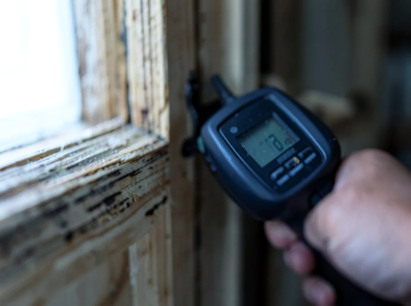 Commercial Water Damage Restoration in Medfield, MA